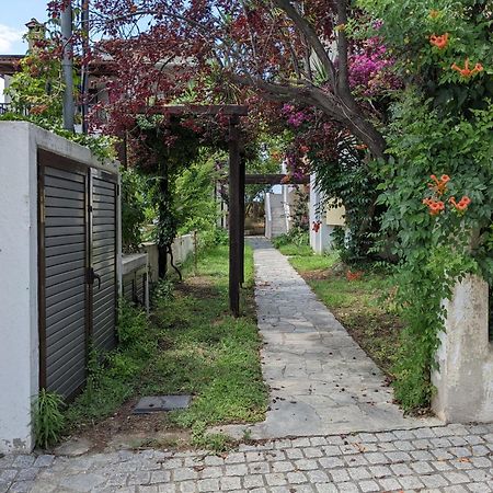 Melina Apartments Nikiti  Buitenkant foto